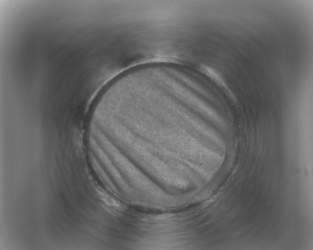 X0000066951260200604142040