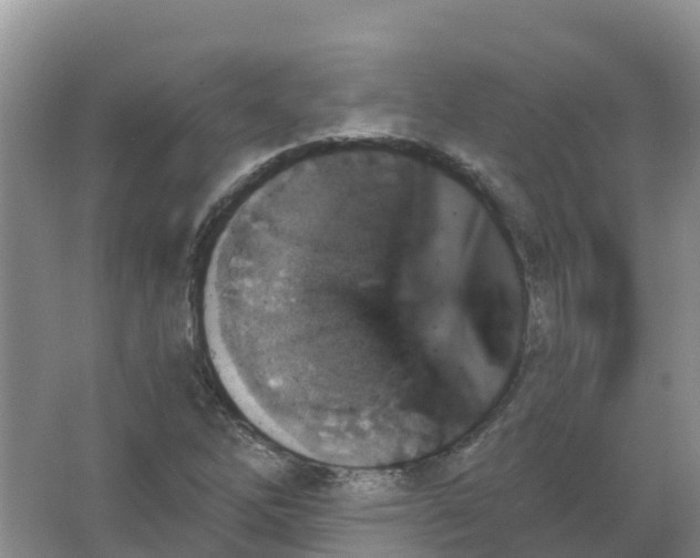 X0000066951262200604142040