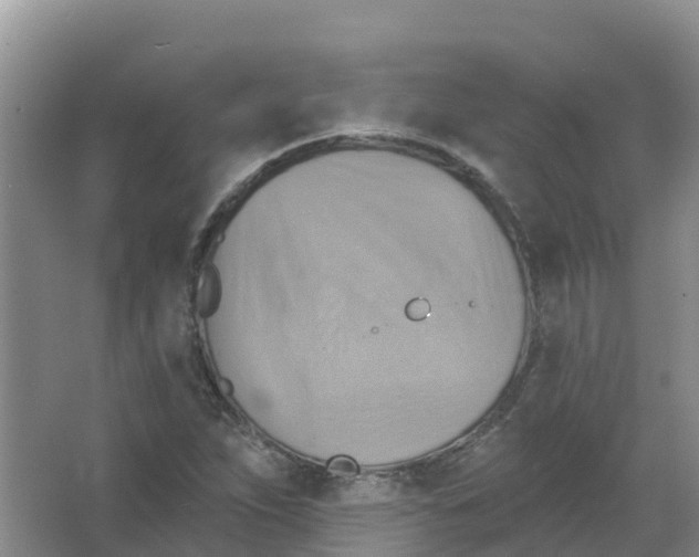 X0000066951263200604142040