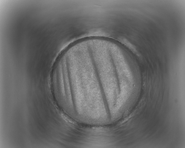 X0000066951264200604142040