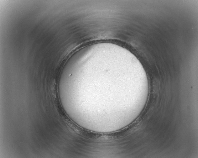 X0000066951265200604142040