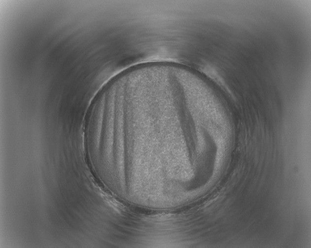 X0000066951268200604142040