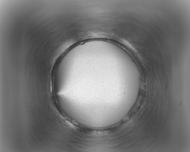 X0000066951269200604142040