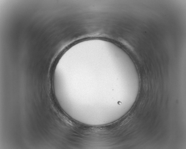 X0000066951270200604142040