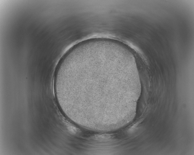 X0000066951272200604142040