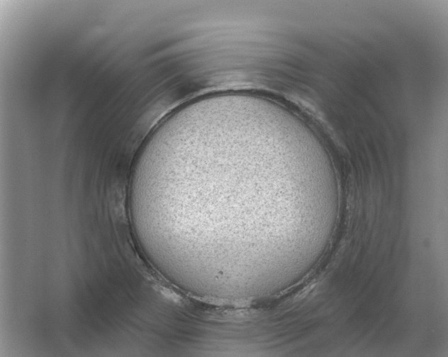 X0000066951273200604142040