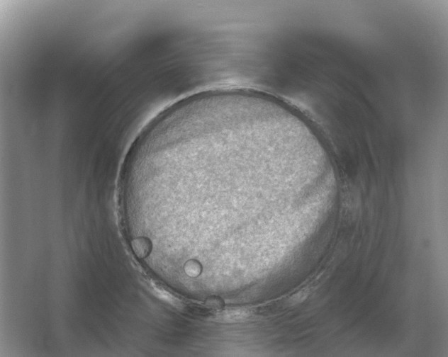 X0000066951278200604142040