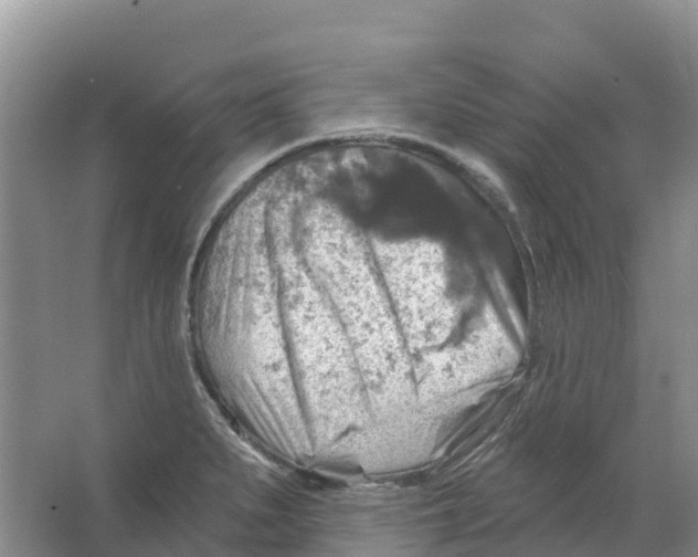 X0000066951279200604142040