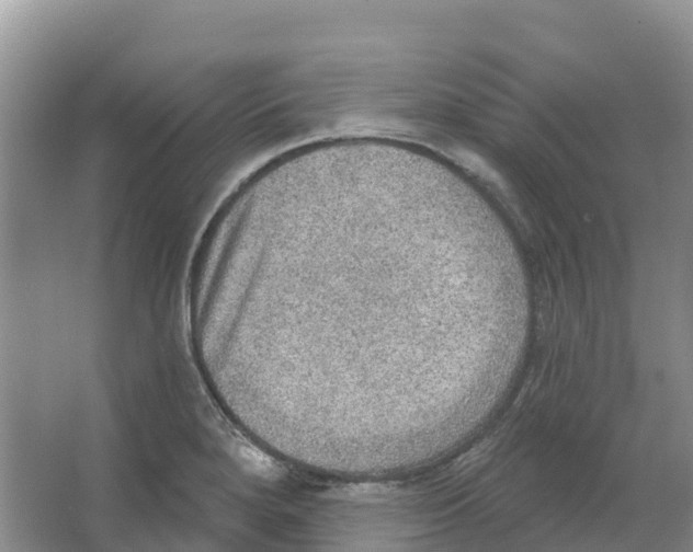 X0000066951280200604142040