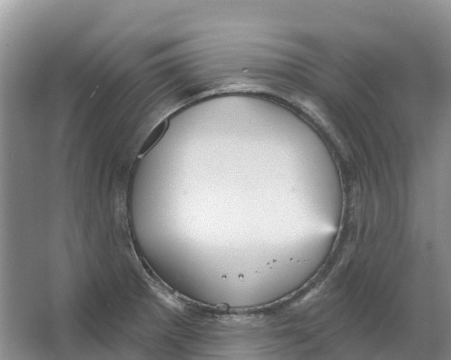 X0000066951281200604142040