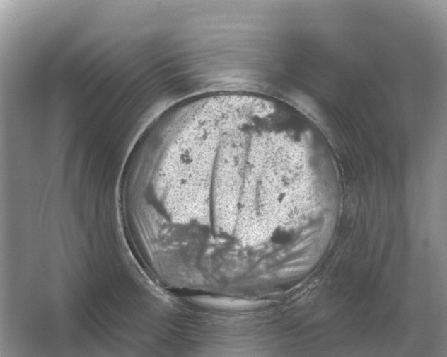 X0000066951283200604142040