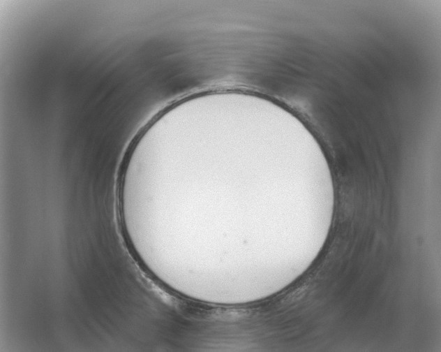 X0000066951286200604142040