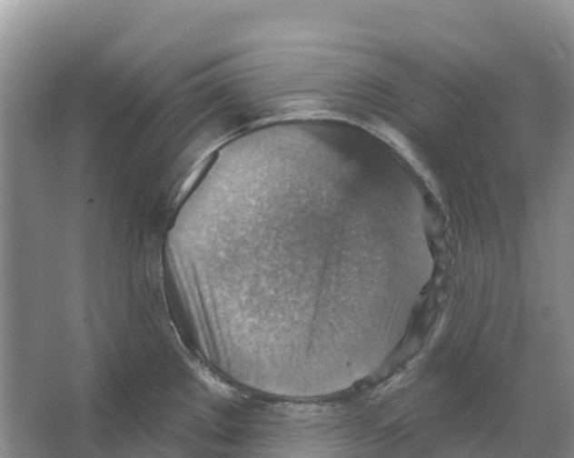 X0000066951289200604142040