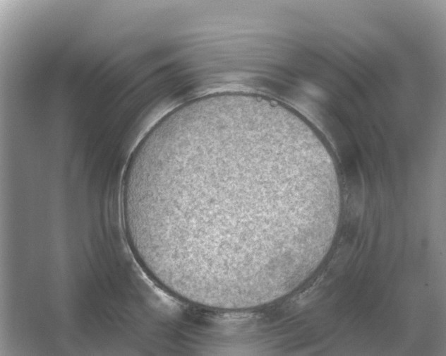 X0000066951290200604142040