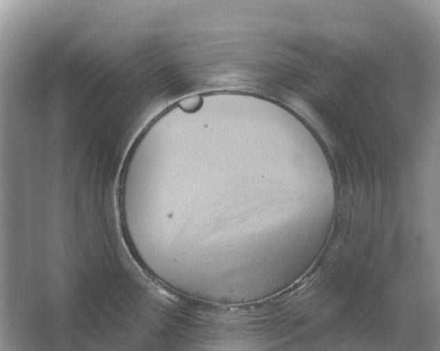 X0000066951291200604142040