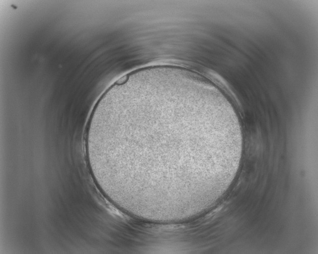 X0000066951292200604142040