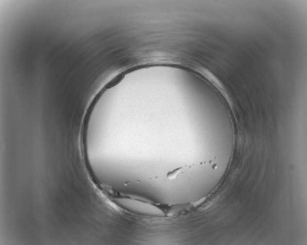 X0000066951293200604142040