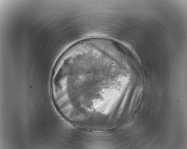 X0000066951295200604142040