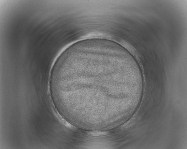 X0000066951296200604142040