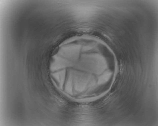 X0000066951297200604142039