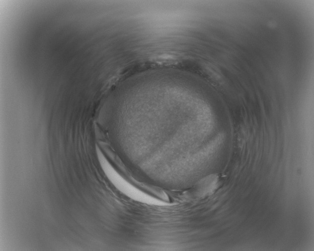 X0000066951298200604142039