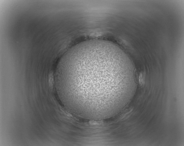 X0000066951299200604142039