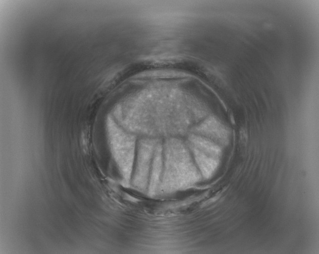 X0000066951300200604142039