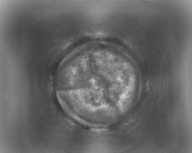 X0000066951301200604142039