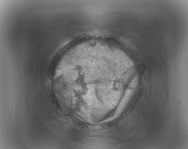 X0000066951302200604142039