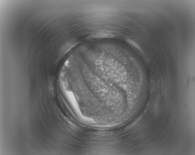 X0000066951305200604142039