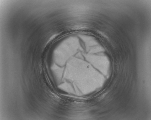 X0000066951306200604142039