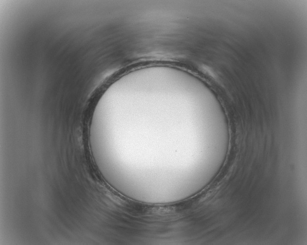 X0000066951307200604142039