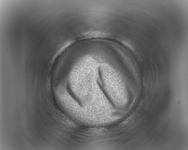 X0000066951309200604142039