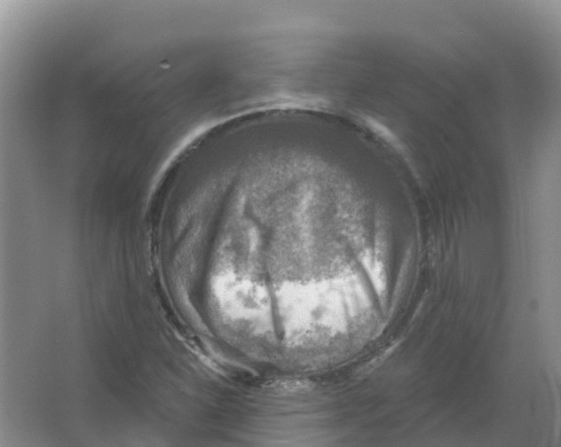 X0000066951310200604142039