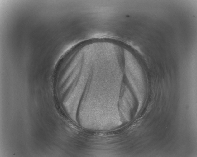 X0000066951311200604142039