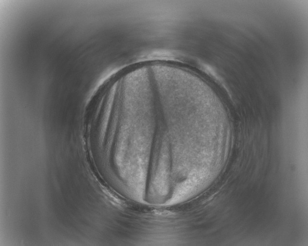 X0000066951312200604142039