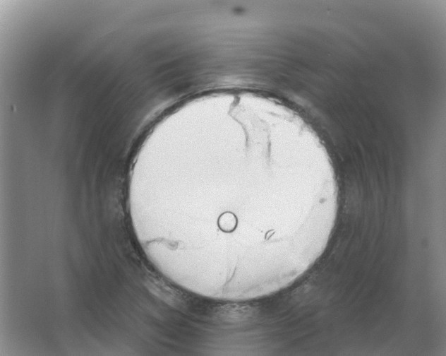 X0000066951314200604142039