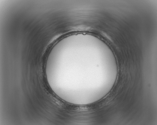 X0000066951315200604142039