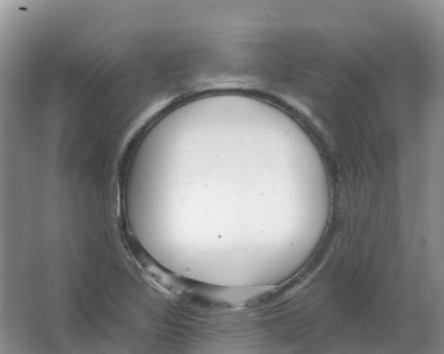 X0000066951317200604142039