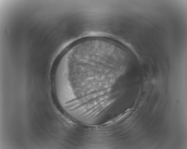 X0000066951319200604142039