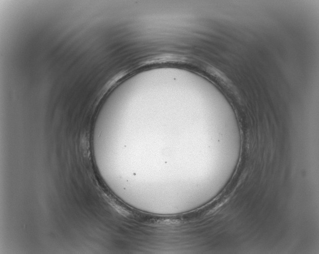 X0000066951321200604142039