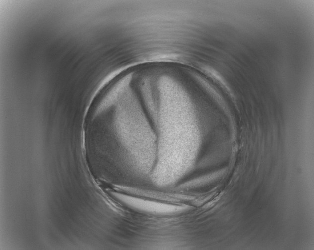 X0000066951324200604142039