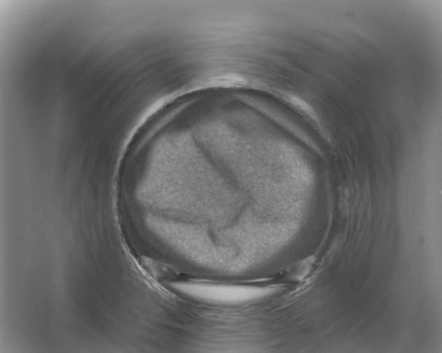 X0000066951326200604142039