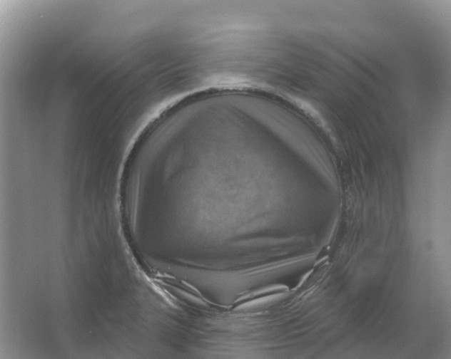 X0000066951327200604142039