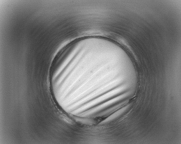 X0000066951328200604142039