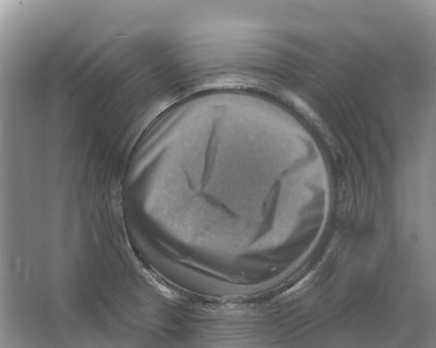 X0000066951329200604142039