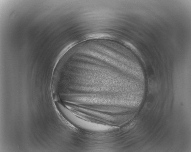 X0000066951330200604142039