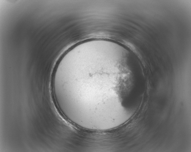 X0000066951331200604142039