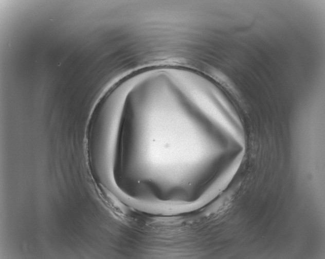 X0000066951332200604142039