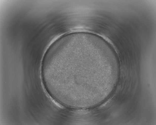 X0000066951333200604142039